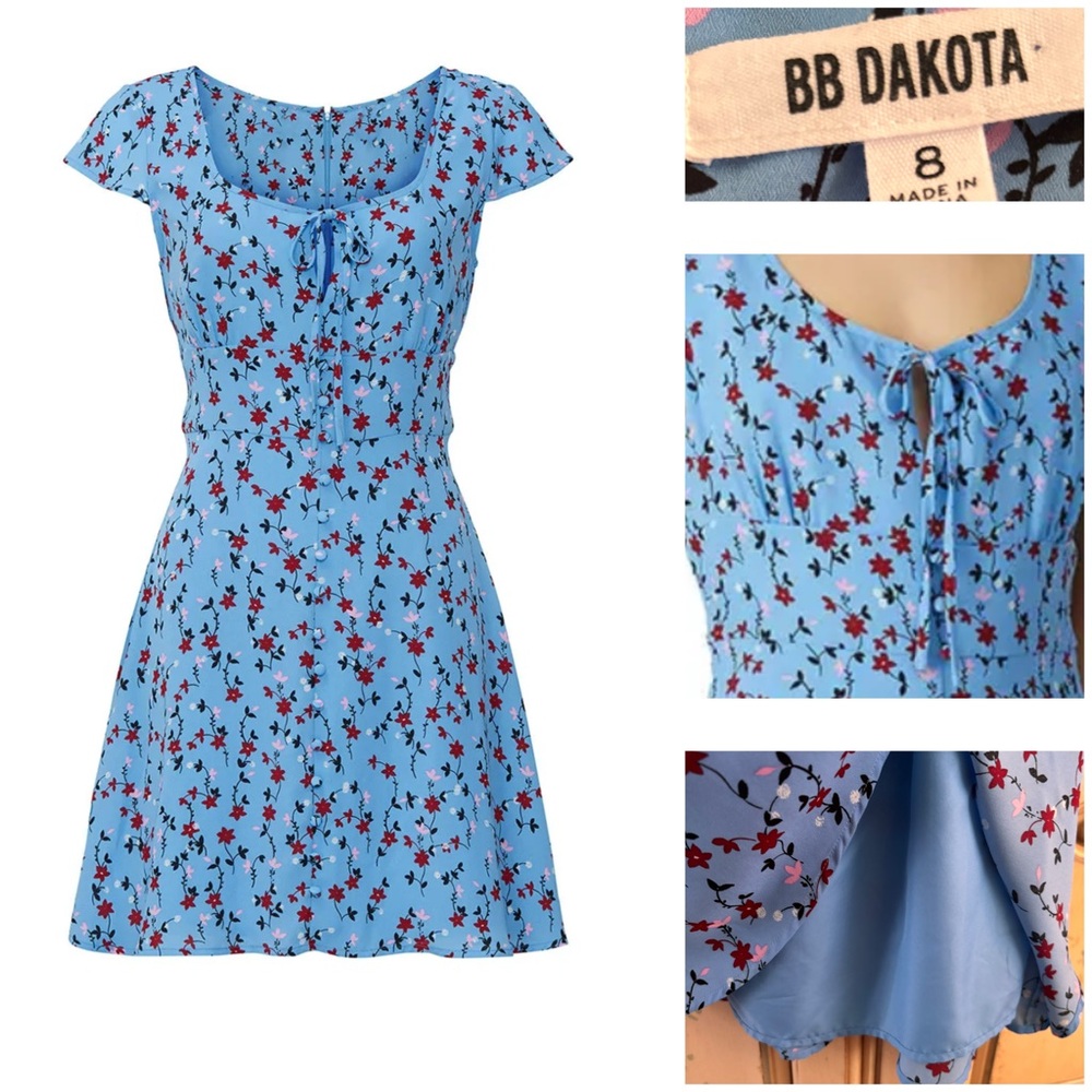 BB Dakota Dress